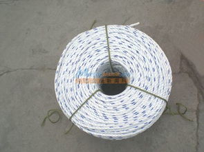 专业之选 探索本金塑料制品在PP扁丝绳领域的卓越贡献